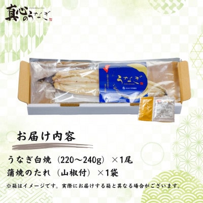宮崎県産うなぎ白焼1尾セット(1尾あたり220～240g)
