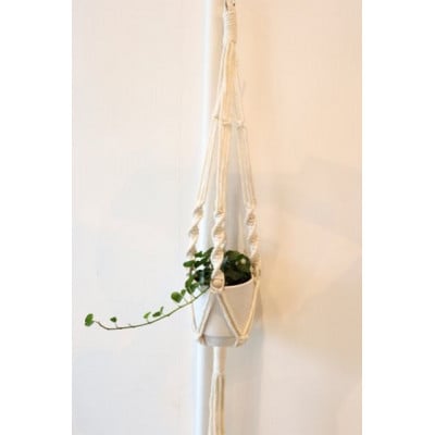 季節の観葉植物とマクラメハンギングプランターのセット(ホワイト)