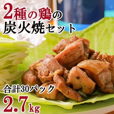 【宮崎名物】2種の鶏の炭火焼きセット(合計30パック、2.7kg)