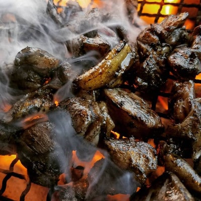 【2025年8月下旬発送】【宮崎名物】熟成鶏肉炭火焼き3種セット