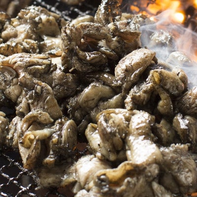 【2025年8月下旬発送】【宮崎名物】熟成鶏肉炭火焼き3種セット