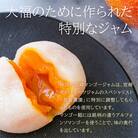 宮崎県産マンゴー使用【宮崎マンゴー大福】12個入り