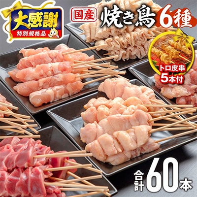 【大感謝特別規格!3月15日まで!】国産若鶏焼き鳥セット大満足の60本!