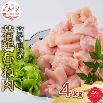 【2024年1月中旬発送】宮崎県産若鶏むね肉4kg(250g×16P)※小分け・カット済・真空冷凍