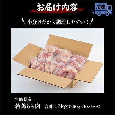 宮崎県産若鶏 もも肉 2.5kg(250g×10パック)※小分け・カット済・真空冷凍