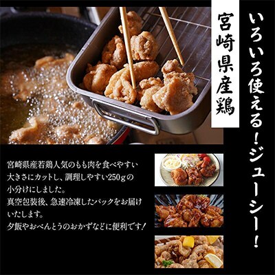 宮崎県産若鶏 もも肉 2.5kg(250g×10パック)※小分け・カット済・真空冷凍