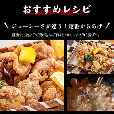 宮崎県産若鶏 もも肉 2.5kg(250g×10パック)※小分け・カット済・真空冷凍