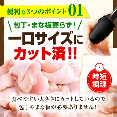 宮崎県産若鶏もも肉・鶏むね肉セット 9.75kg(カット済み/小分け250g/真空パック)