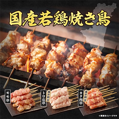 【発送月固定定期便】国産若鶏焼き鳥3種(60本)盛り合わせ(冷凍)※希少部位のトロ皮・カタ入り全5回