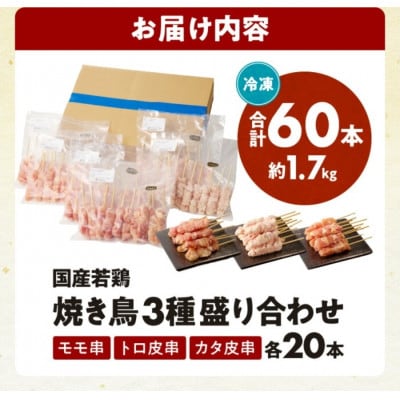 【発送月固定定期便】国産若鶏焼き鳥3種(60本)盛り合わせ(冷凍)※希少部位のトロ皮・カタ入り全5回