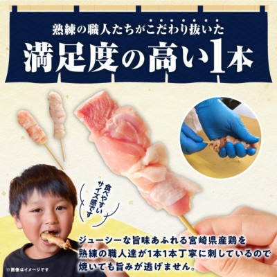 【発送月固定定期便】国産若鶏焼き鳥3種(60本)盛り合わせ(冷凍)※希少部位のトロ皮・カタ入り全5回