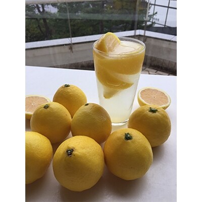 宮崎県産日向夏冷凍果汁と冷凍果実家飲みセット お礼品詳細 ふるさと納税なら さとふる 宮崎県産日向夏冷凍果汁と冷凍果実家飲みセット お礼品詳細 ふるさと納税なら さとふる