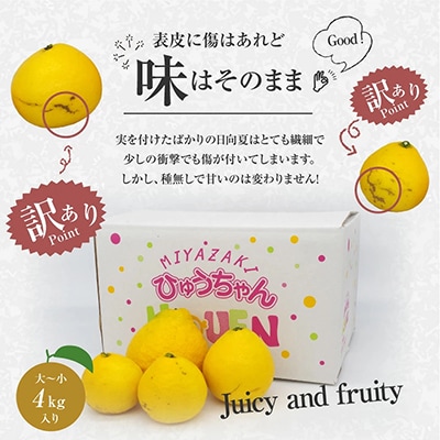 ハウス種なし日向夏【訳あり】家庭用　サイズ混合　4kg