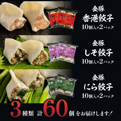 金豚餃子セット(香港餃子・しそ餃子・にら餃子)1パック10個入×各2パック　計60個