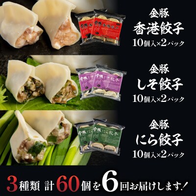 【発送月固定定期便】金豚餃子セット(香港・しそ・にら)1パック10個入×各2パック　計60個全6回