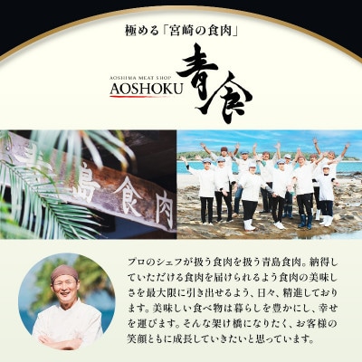 【発送月固定定期便】金豚餃子セット(香港・しそ・にら)1パック10個入×各2パック　計60個全6回