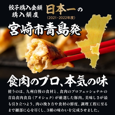 【発送月固定定期便】金豚中華お楽しみセット(宮崎牛すき焼き・豚・黒ゴマ、香港、しそ、にら各1)全2回