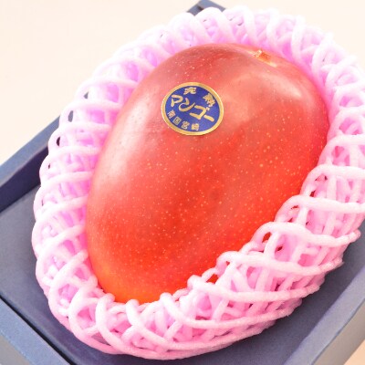 おがたのマンゴー 完熟宮崎マンゴー 4lサイズ 510 649g 1個 お礼品詳細 ふるさと納税なら さとふる