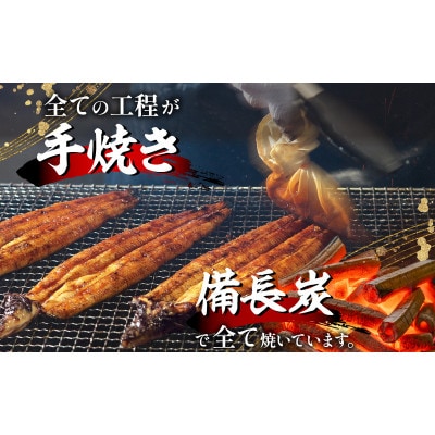 【訳あり】高須水産　備長炭手焼き蒲焼3尾(620g)_M159-005