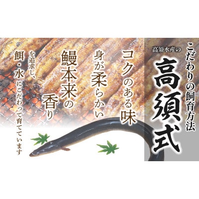 【訳あり】高須水産　備長炭手焼き蒲焼3尾(620g)_M159-005