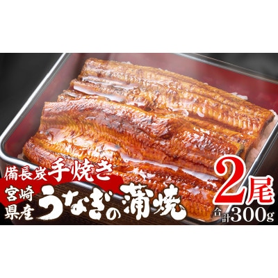 宮崎県産 備長炭蒲焼 うなぎ無頭蒲焼 2尾 セット 合計約300g