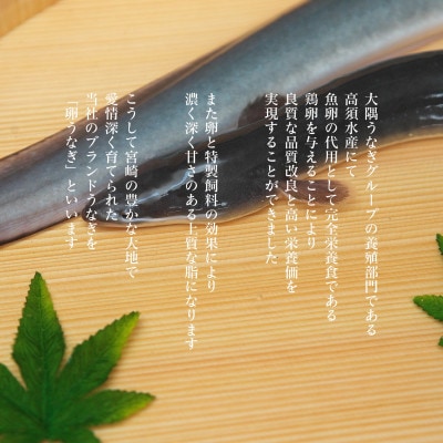 「卵うなぎ」備長炭手焼蒲焼4尾(600g)