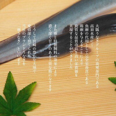 「卵うなぎ」備長炭手焼蒲焼3尾(660g)
