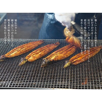 「卵うなぎ」備長炭手焼蒲焼3尾(660g)