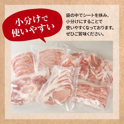 【2022年2月発送】宮崎県産豚食べ尽くし3.8kgセット