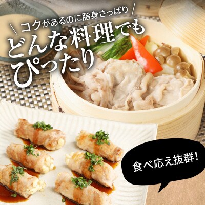 【2022年3月発送】宮崎県産豚食べ尽くし3.8kgセット
