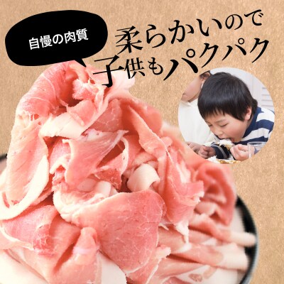 【2022年5月発送】宮崎県産豚肉切り落とし合計4kg(冷凍500g×8パック)