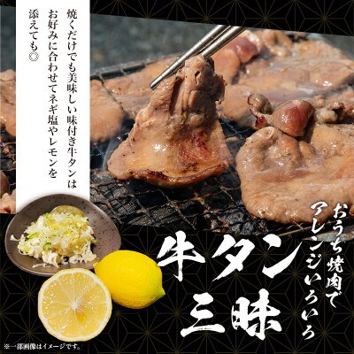 【宮崎県産日向夏果汁入り】塩だれ牛タン400g×3パック　合計1.2kg