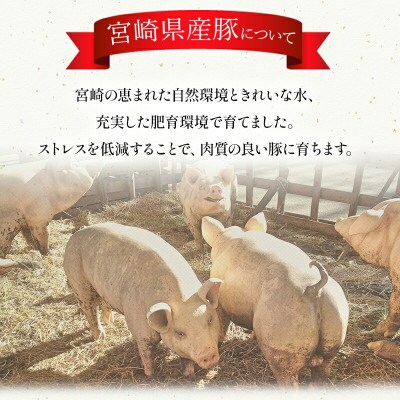 宮崎県産豚スライス4kg