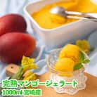 フルーツソムリエが作った濃厚宮崎完熟マンゴージェラート1000ml【宮崎市】