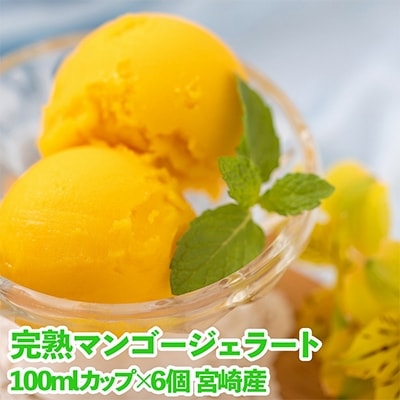 フルーツソムリエが作った濃厚宮崎完熟マンゴージェラート100ml×6個【宮崎市】