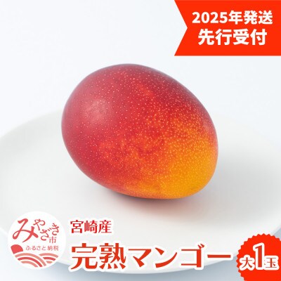 【先行予約　2025年4月より順次発送】フルーツソムリエが選んだ宮崎完熟マンゴー【大】1玉
