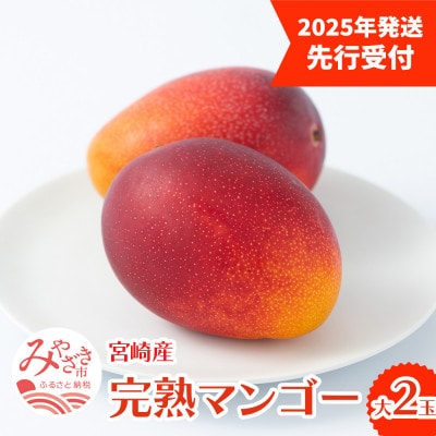 【先行予約　2025年4月より順次発送】フルーツソムリエが選んだ宮崎完熟マンゴー【大】2玉