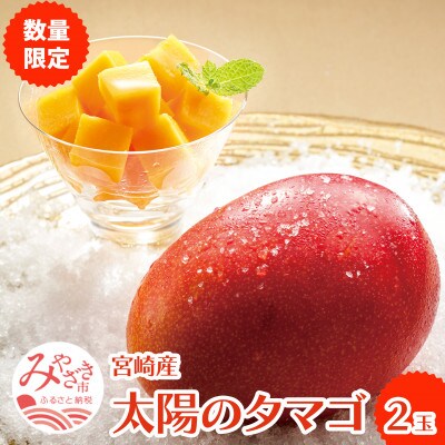 宮崎県産　摘果マンゴー　８キロ 宮崎県産摘果マンゴー 8kg ⑦