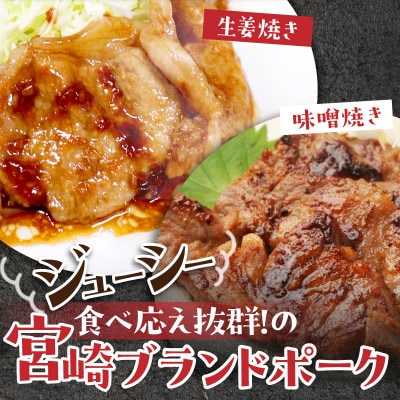 宮崎ブランドポーク　生姜焼き味噌焼きセット(5パック×2種類)