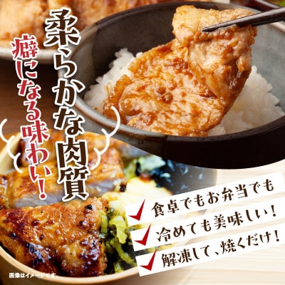 宮崎ブランドポーク　生姜焼き味噌焼きセット(5パック×2種類)