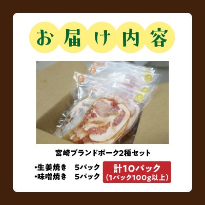 宮崎ブランドポーク　生姜焼き味噌焼きセット(5パック×2種類)