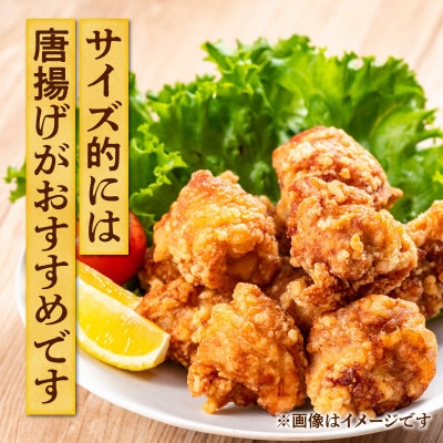宮崎県産若鶏もも30g～40gカット約200g入り真空パック×15P(3kg)