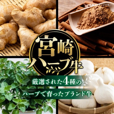 宮崎ハーブ牛サーロインステーキ 600g(300g×2)