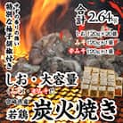 【しお・大容量】冷凍20パック　本場宮崎「小料理ひゅう」宮崎県産若鶏炭火焼+【みそ・辛みそ】2パック