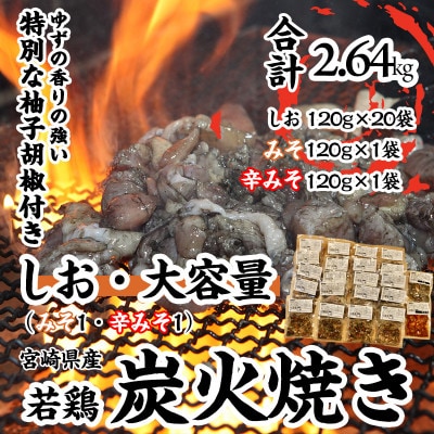 【しお・大容量】冷凍20パック　本場宮崎「小料理ひゅう」宮崎県産若鶏炭火焼+【みそ・辛みそ】2パック
