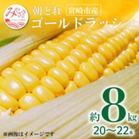 朝どれ ゴールドラッシュ 約8kg(20本～22本)期間・数量限定 (2022年先行受付)