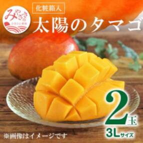 太陽のタマゴ 3L×2玉(約900g) 化粧箱 期間・数量限定 (2022年先行受付)
