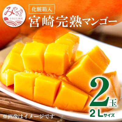 宮崎完熟マンゴー 2L×2玉(700g～800g) 化粧箱 期間・数量限定 (2022年