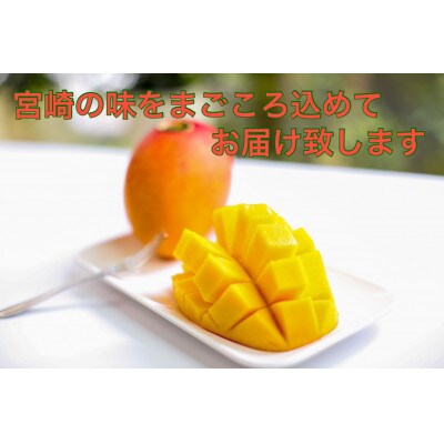 宮崎完熟マンゴー 2L×2玉(700g～800g) 化粧箱 期間・数量限定 (2022年