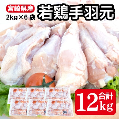 宮崎県産若鶏手羽元(2kg×6袋)計12kg